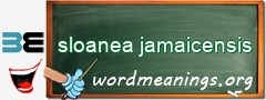 WordMeaning blackboard for sloanea jamaicensis